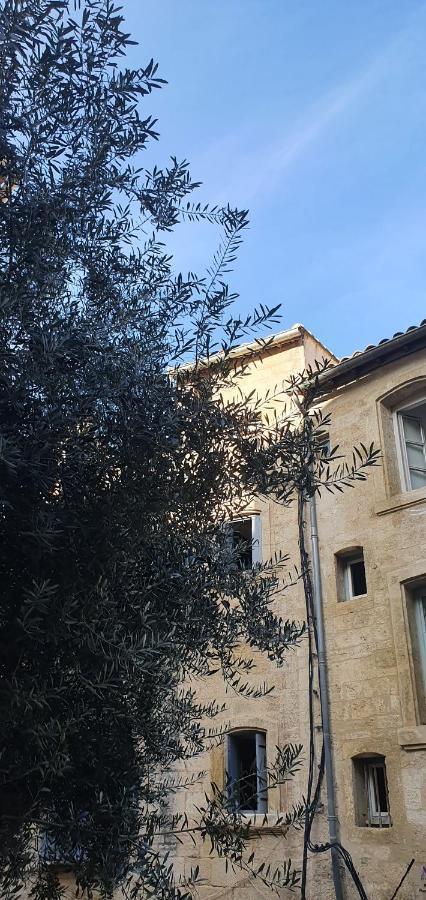 Le Petit Olivier En Coeur De Ville + Parking Incl. Montpellier Luaran gambar